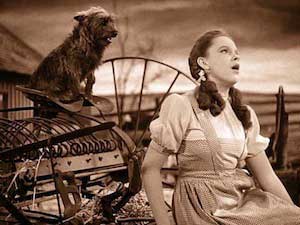 judy garland dorothy