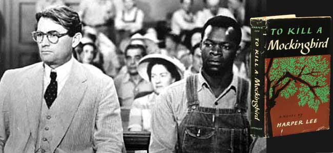 to kill a mockingbird book
