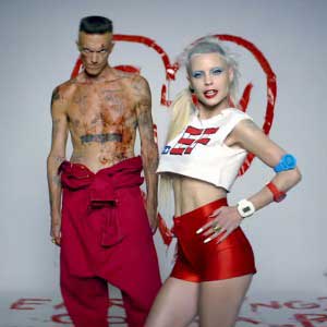 die antwoord