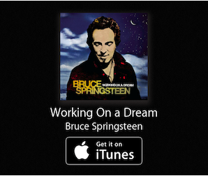Working On A Dream Bruce Springsteen DL