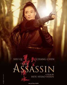 the assassin - poster